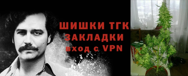 каннабис Гусев