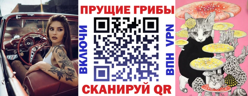 даркнет сайт  Долинск  Галлюциногенные грибы прущие грибы 